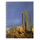 Search for baja notebooks Cardon cactus