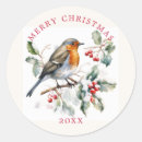 Search for christmas robin stickers Bird