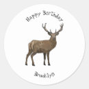 Search for cartoon deer stickers Antlers