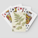 Search for fern leaves playing cards Ferns