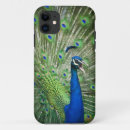 Search for peafowl iphone cases Bird