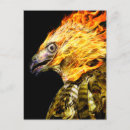 Search for fire bird postcards Flame