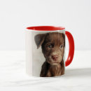 Search for pup mugs Boston terrier