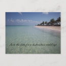 Search for cuba invitations Tropical