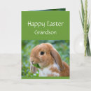 Search for for grandson easter cards Bunny