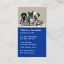 Search for vet tech business cards Veterinarian