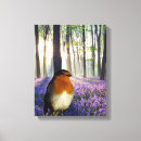 Search for bluebell canvas prints Forest