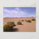 Search for goby postcards Desert