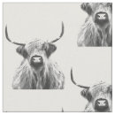 Search for black cow fabric Cattle