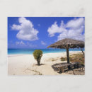 Search for coco beach Warm
