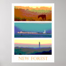 Search for new forest posters Woodland