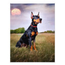Search for doberman posters Fur baby