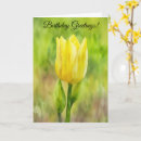 Search for tulips birthday cards Garden
