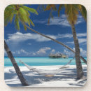 Search for sandy coasters Beach