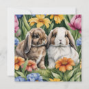 Search for lop cards Bunny