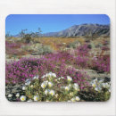 Search for rosae electronics Flora