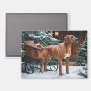 Search for ridgebacks magnets Animal