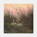 Search for reed magnets Bird
