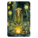 Search for fairie magnets Fairy