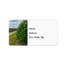 Search for corn return address labels Farming
