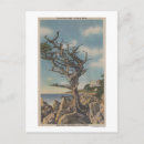 Search for monterey postcards Old