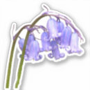 Search for native flower stickers Blue