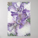 Search for pencil flower drawing posters White