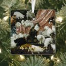 Search for veterinarian christmas tree decorations Pet