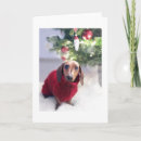 Search for weiner dog christmas cards Cute