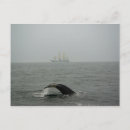 Search for humpback postcards Whale