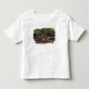 Search for zion clothing Desert