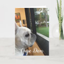 Search for dog seasonal cards Joy