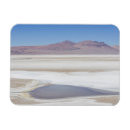 Search for salt magnets Outdoors