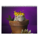 Search for rat calendars Animals