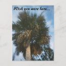 Search for you are here postcards Photograph