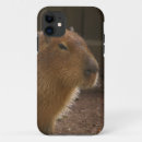Search for capybara iphone cases Wildlife