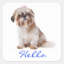 Search for shih tzu stickers Shitzu