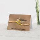 Search for perching cards Birds