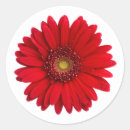 Search for red daisy stickers Round