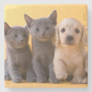 Search for doxies barware Pets