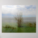 Search for meditation landscape posters Peaceful