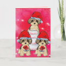 Search for pooed cards Yorkie poo