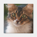 Search for green eyes magnets Adorable