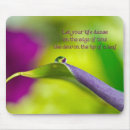 Search for purple lily electronics Nature