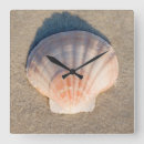Search for florida seashells art Waves