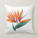 Search for bird of paradise cushions Orange