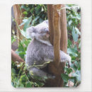 Search for koala mousepads Marsupial