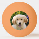 Search for funny ping pong balls Dog