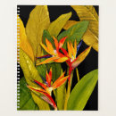 Search for birds planners Bird of paradise