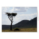Search for botswana photography Africa